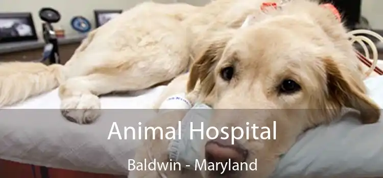 Animal Hospital Baldwin - Maryland