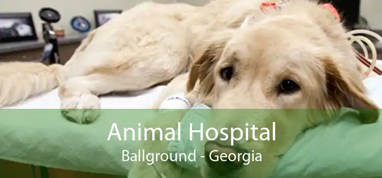 Animal Hospital Ballground - Georgia