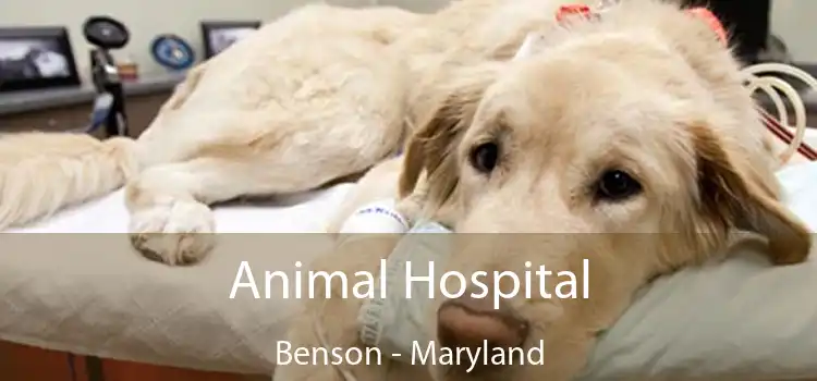 Animal Hospital Benson - Maryland