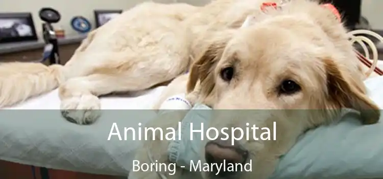 Animal Hospital Boring - Maryland