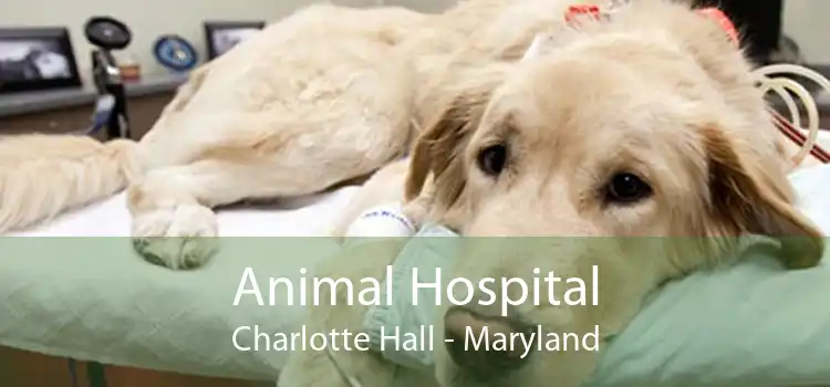 Animal Hospital Charlotte Hall - Maryland