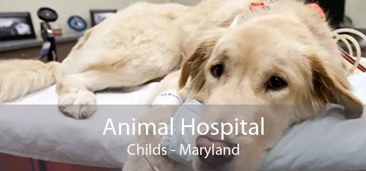 Animal Hospital Childs - Maryland