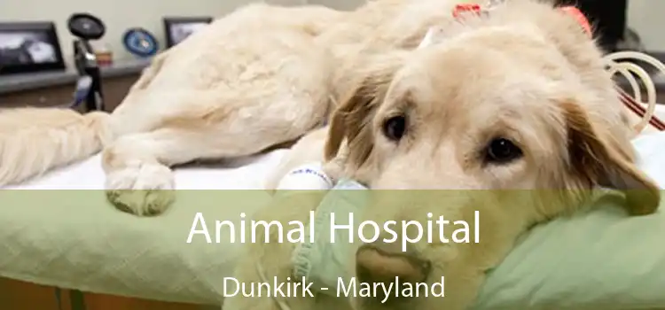 Animal Hospital Dunkirk - Maryland