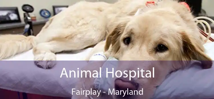 Animal Hospital Fairplay - Maryland