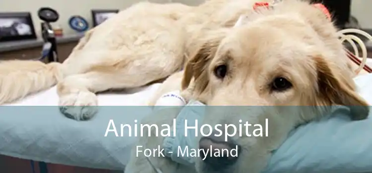 Animal Hospital Fork - Maryland