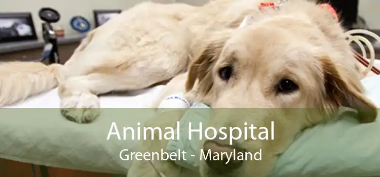 Animal Hospital Greenbelt - Maryland