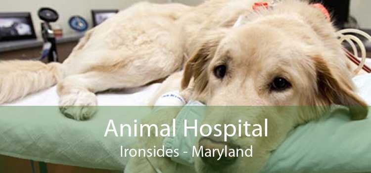 Animal Hospital Ironsides - Maryland