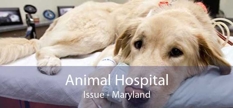 Animal Hospital Issue - Maryland
