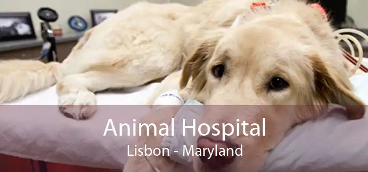 Animal Hospital Lisbon - Maryland