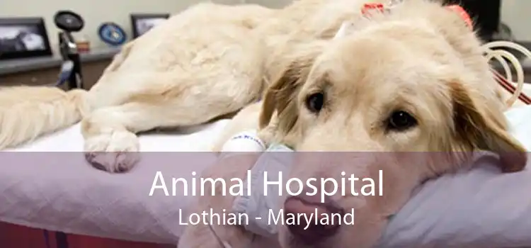 Animal Hospital Lothian - Maryland