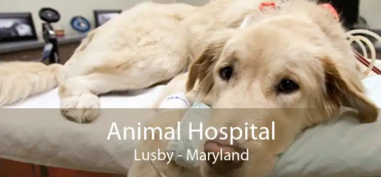 Animal Hospital Lusby - Maryland