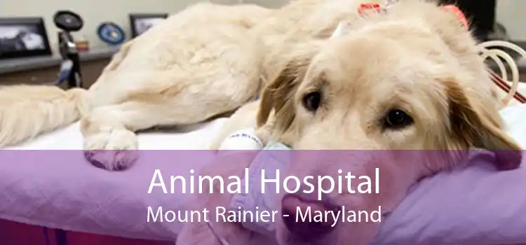 Animal Hospital Mount Rainier - Maryland