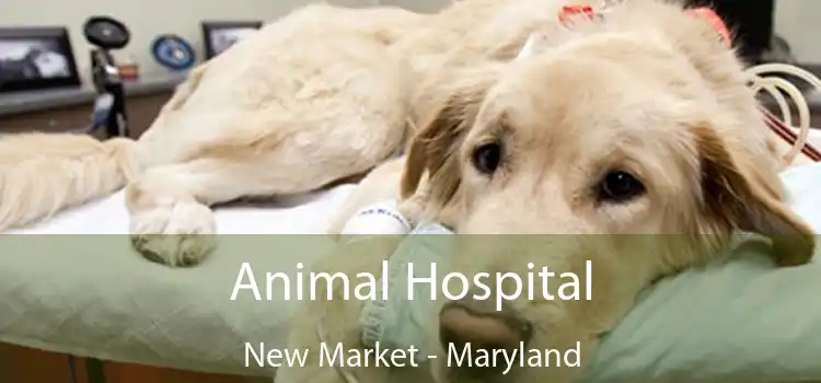 Animal Hospital New Market - Maryland