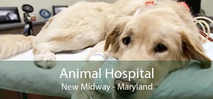 Animal Hospital New Midway - Maryland