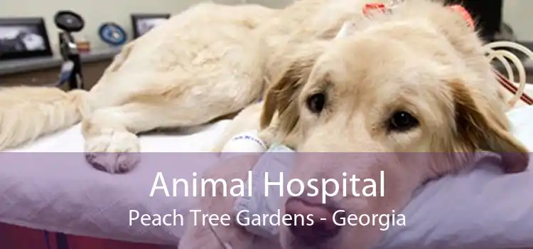 Animal Hospital Peach Tree Gardens - Georgia