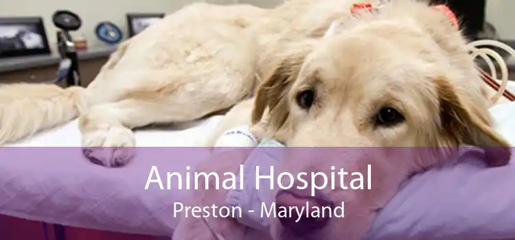 Animal Hospital Preston - Maryland