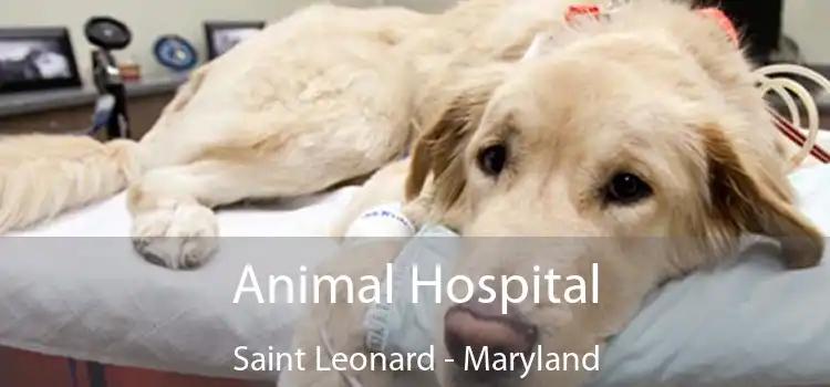 Animal Hospital Saint Leonard - Maryland