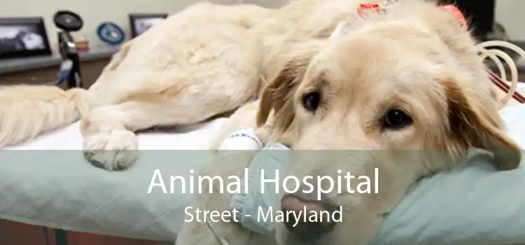 Animal Hospital Street - Maryland