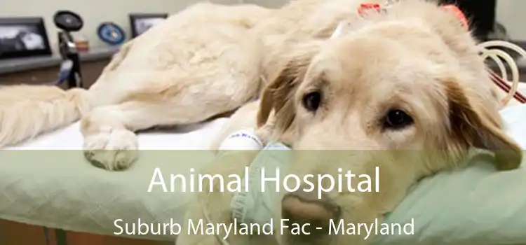 Animal Hospital Suburb Maryland Fac - Maryland