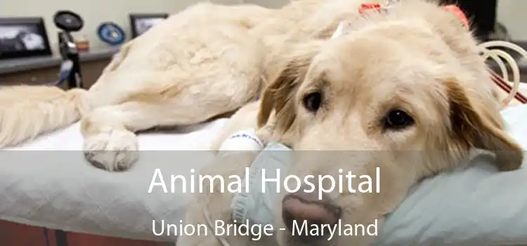 Animal Hospital Union Bridge - Maryland