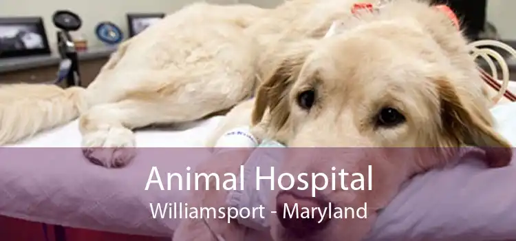 Animal Hospital Williamsport - Maryland