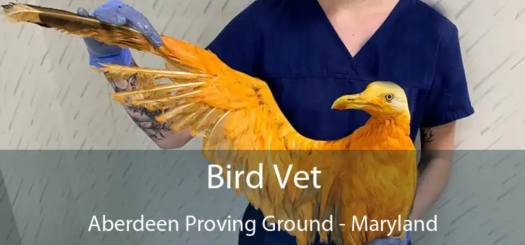 Bird Vet Aberdeen Proving Ground - Maryland