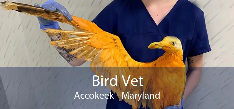 Bird Vet Accokeek - Maryland