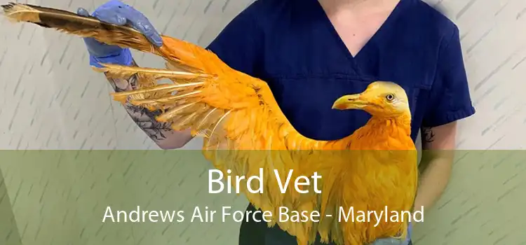 Bird Vet Andrews Air Force Base - Maryland