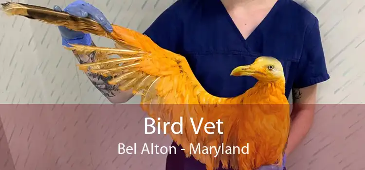 Bird Vet Bel Alton - Maryland