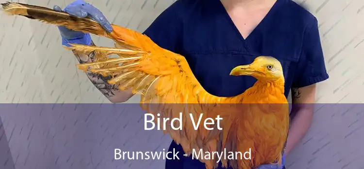 Bird Vet Brunswick - Maryland