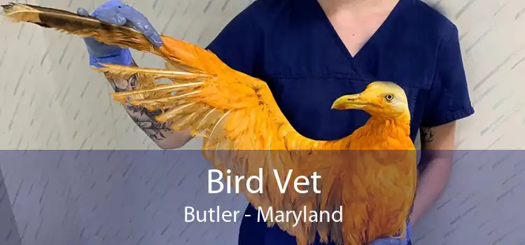 Bird Vet Butler - Maryland