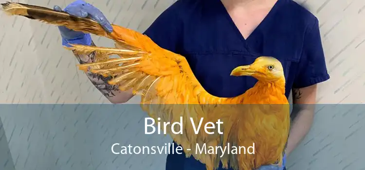 Bird Vet Catonsville - Maryland