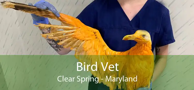 Bird Vet Clear Spring - Maryland