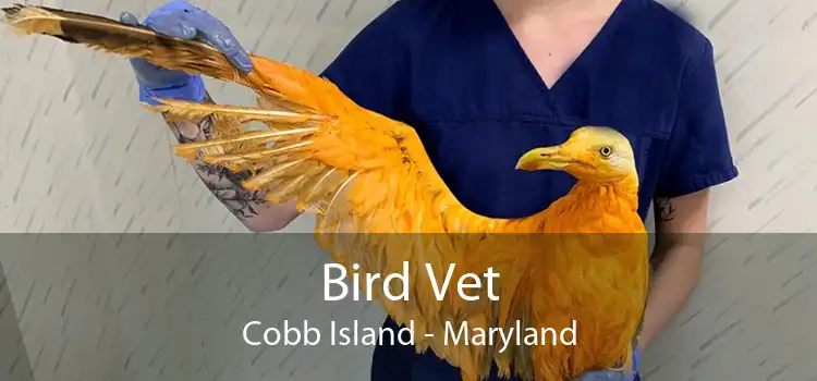 Bird Vet Cobb Island - Maryland