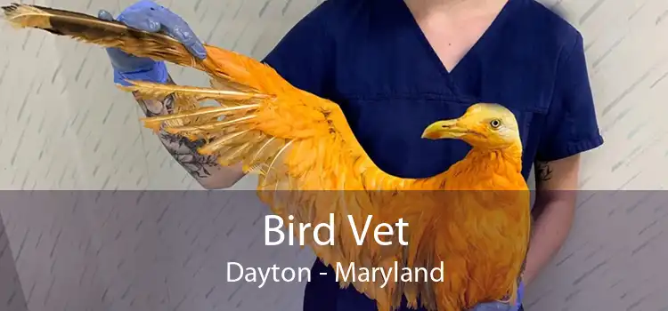 Bird Vet Dayton - Maryland