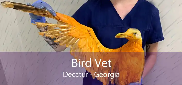 Bird Vet Decatur - Georgia