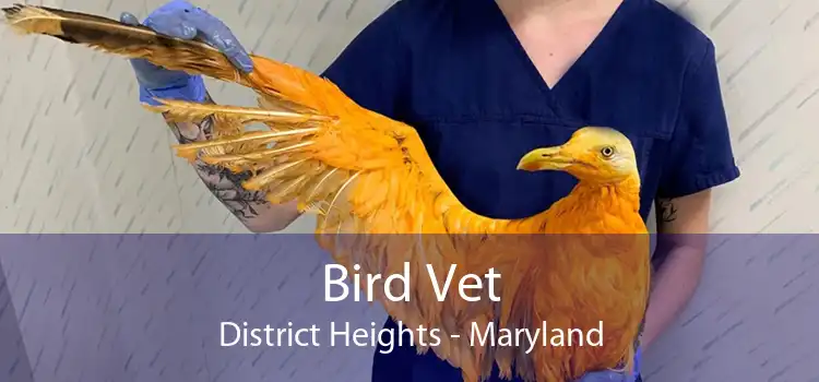 Bird Vet District Heights - Maryland