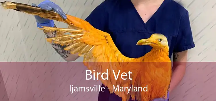 Bird Vet Ijamsville - Maryland
