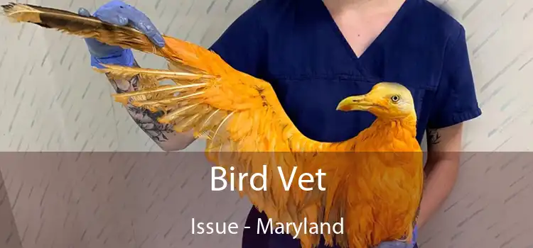 Bird Vet Issue - Maryland