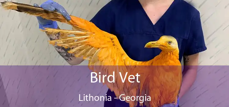 Bird Vet Lithonia - Georgia
