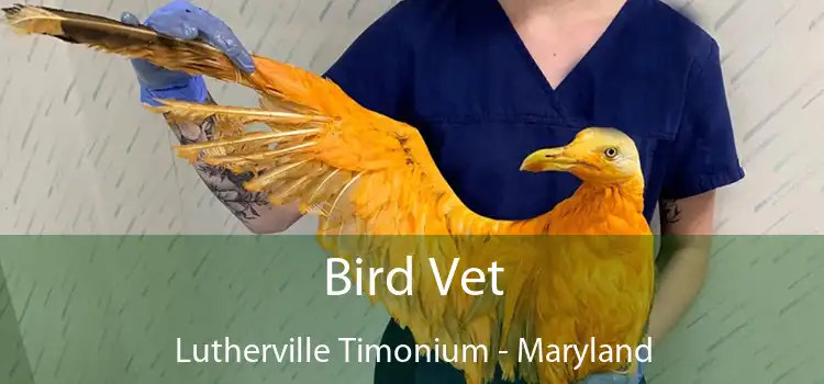 Bird Vet Lutherville Timonium - Maryland