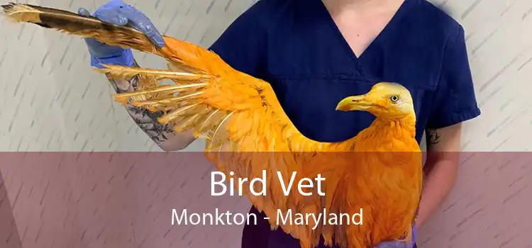 Bird Vet Monkton - Maryland