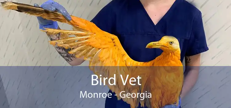 Bird Vet Monroe - Georgia