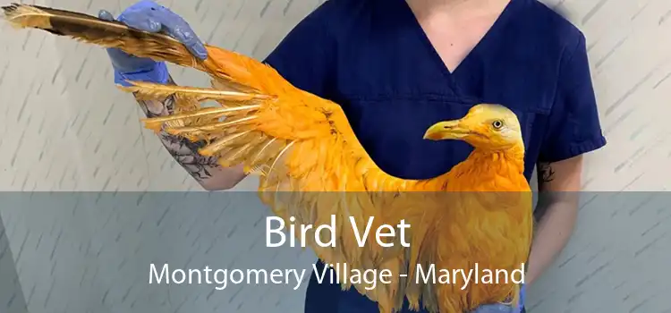 Bird Vet Montgomery Village - Maryland