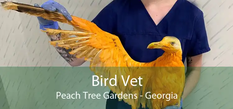 Bird Vet Peach Tree Gardens - Georgia