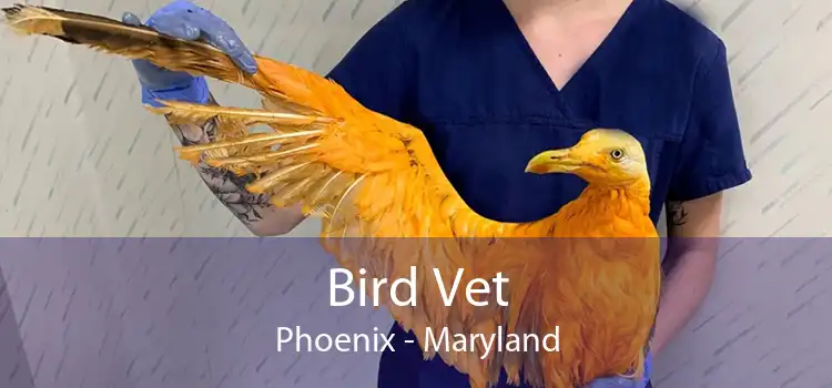 Bird Vet Phoenix - Maryland
