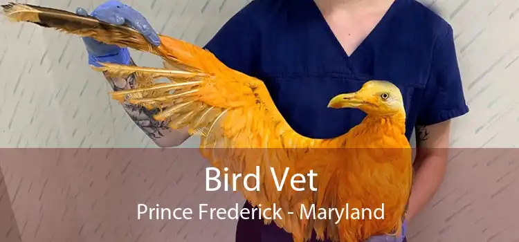 Bird Vet Prince Frederick - Maryland