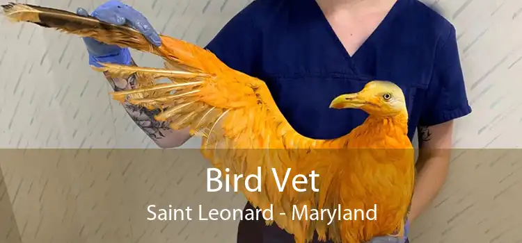 Bird Vet Saint Leonard - Maryland