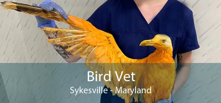 Bird Vet Sykesville - Maryland