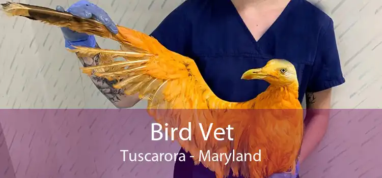 Bird Vet Tuscarora - Maryland